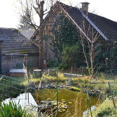 Ferienwohnung Blockheide Gmund  Exterior photo